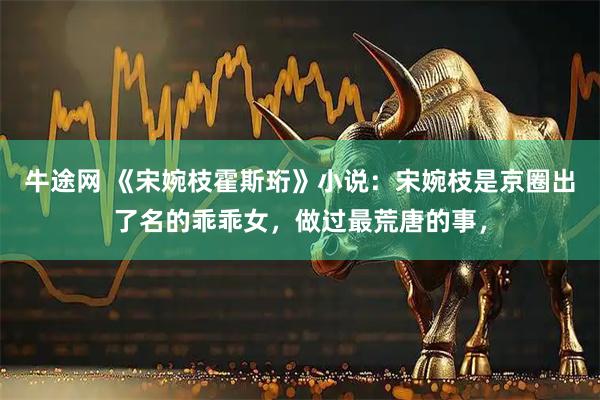 牛途网 《宋婉枝霍斯珩》小说：宋婉枝是京圈出了名的乖乖女，做过最荒唐的事，